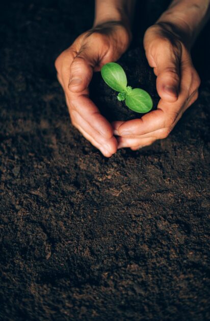 Hands holding green seedling, sprout over soil. Top view. New life, eco, sustainable living, zero waste, plastic free, earth day, investment concept. Sustainable business with environmental concern Hands holding green seedling, sprout over soil. Top view. New life, eco, sustainable living, zero waste, plastic free, earth day, investment concept. Sustainable business with environmental concern.